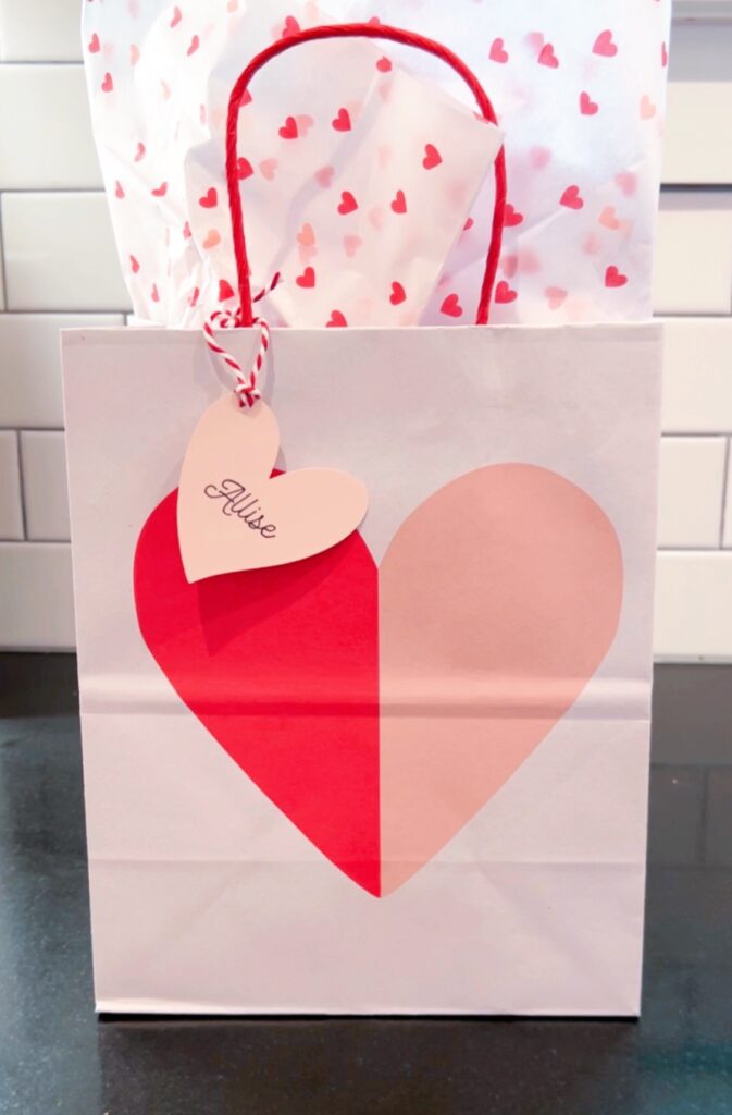 galentines bag